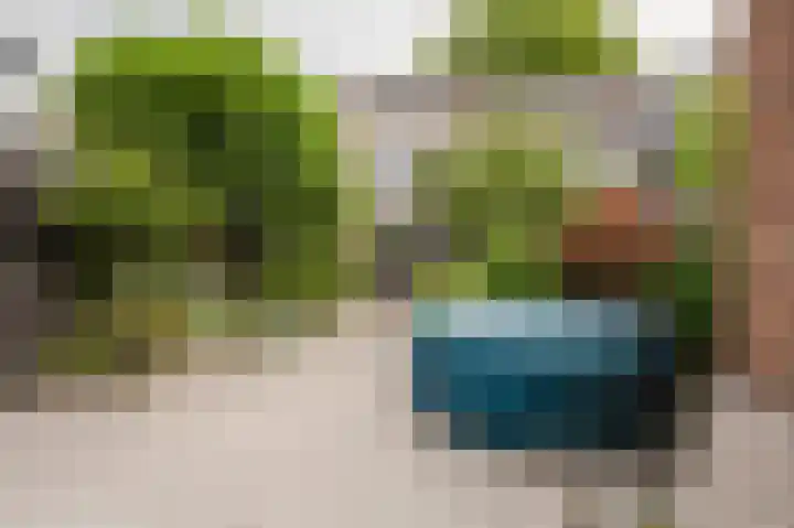 Dallelaan 2 Spijkenisse thumbnail 6