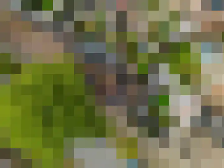Dallelaan 2 Spijkenisse thumbnail 7