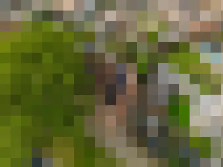 Dallelaan 2 Spijkenisse thumbnail 8