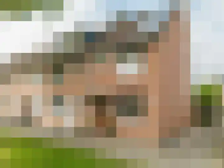 Dallelaan 2 Spijkenisse thumbnail 9