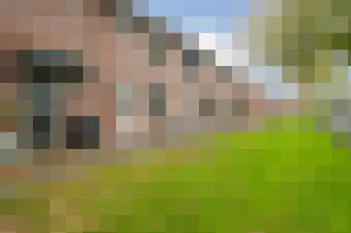 Dallelaan 20 Spijkenisse thumbnail 10