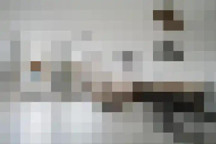 Dallelaan 20 Spijkenisse thumbnail 14