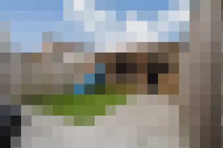 Dallelaan 20 Spijkenisse thumbnail 17