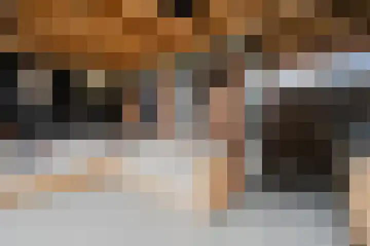 Dallelaan 20 Spijkenisse thumbnail 18
