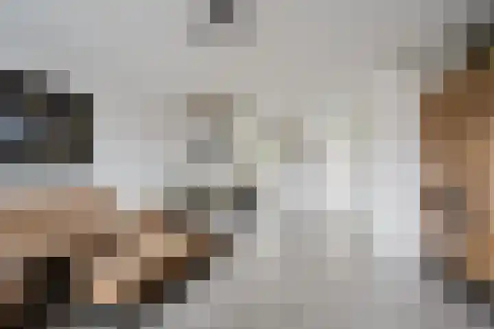 Dallelaan 20 Spijkenisse thumbnail 19