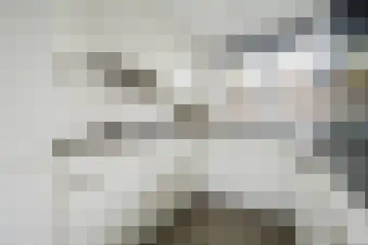 Dallelaan 20 Spijkenisse thumbnail 20