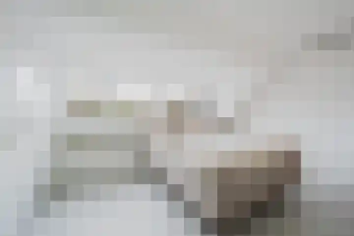 Dallelaan 20 Spijkenisse thumbnail 22