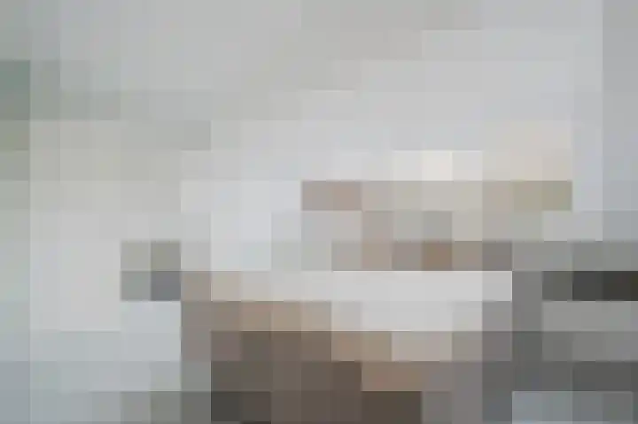 Dallelaan 20 Spijkenisse thumbnail 23