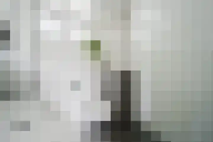 Dallelaan 20 Spijkenisse thumbnail 24