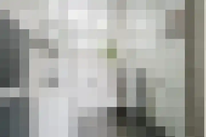 Dallelaan 20 Spijkenisse thumbnail 4