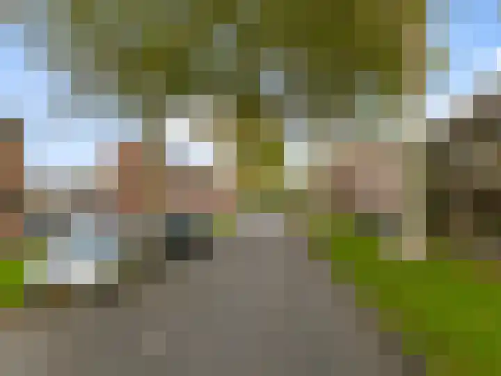 Dallelaan 20 Spijkenisse thumbnail 6