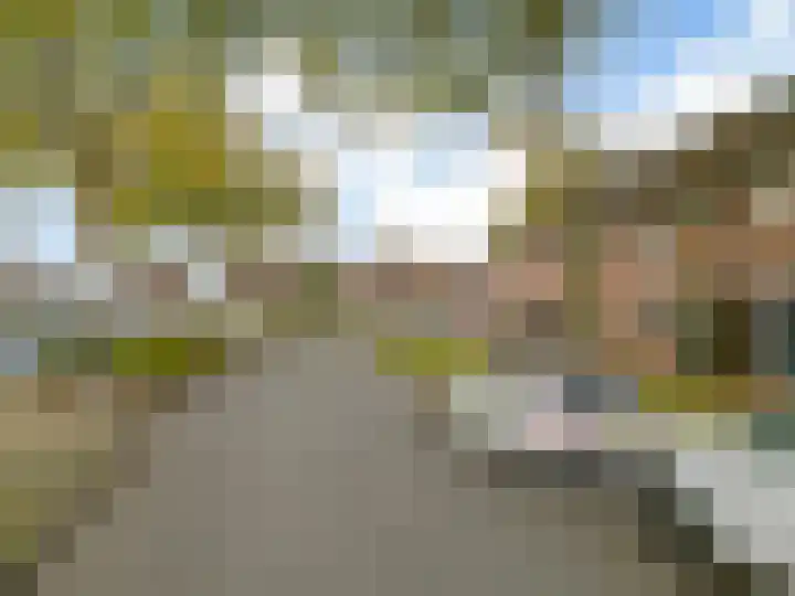 Dallelaan 20 Spijkenisse thumbnail 7