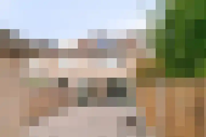 Dallelaan 27 Spijkenisse thumbnail 11