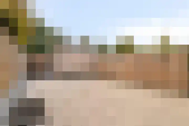 Dallelaan 27 Spijkenisse thumbnail 13