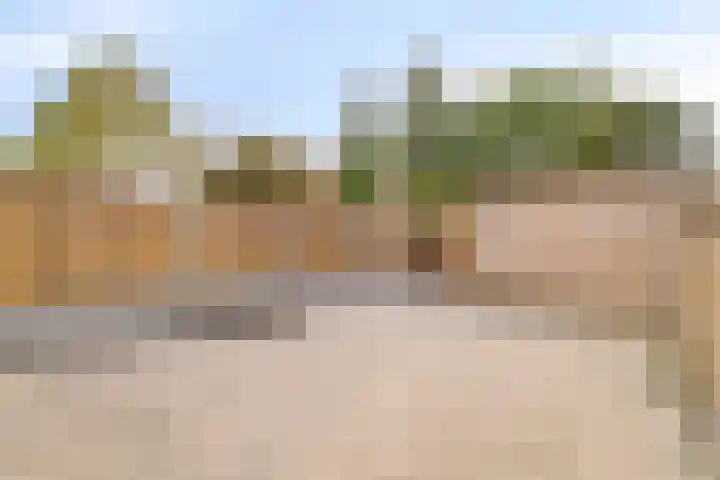 Dallelaan 27 Spijkenisse thumbnail 14