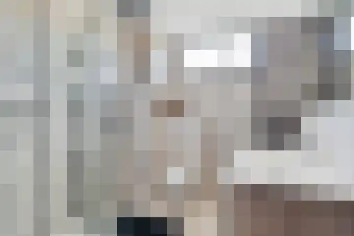 Dallelaan 27 Spijkenisse thumbnail 15