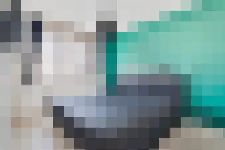 Dallelaan 27 Spijkenisse thumbnail 18