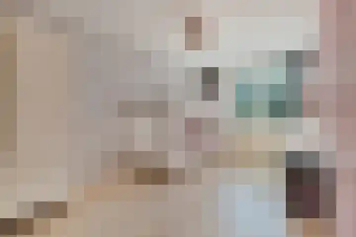 Dallelaan 27 Spijkenisse thumbnail 20