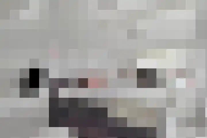 Dallelaan 27 Spijkenisse thumbnail 22