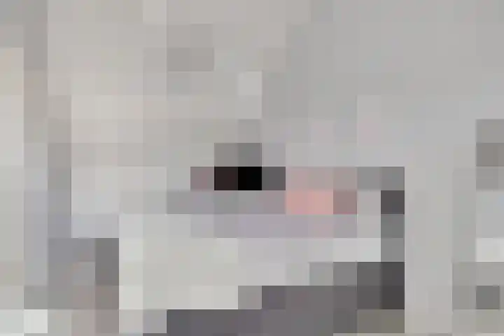 Dallelaan 27 Spijkenisse thumbnail 23