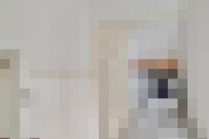 Dallelaan 27 Spijkenisse thumbnail 24