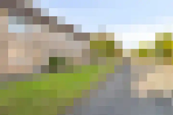 Dallelaan 27 Spijkenisse thumbnail 25