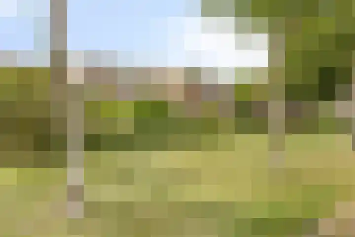 Dallelaan 27 Spijkenisse thumbnail 27