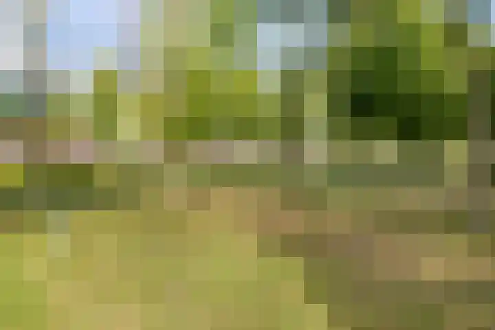 Dallelaan 27 Spijkenisse thumbnail 28