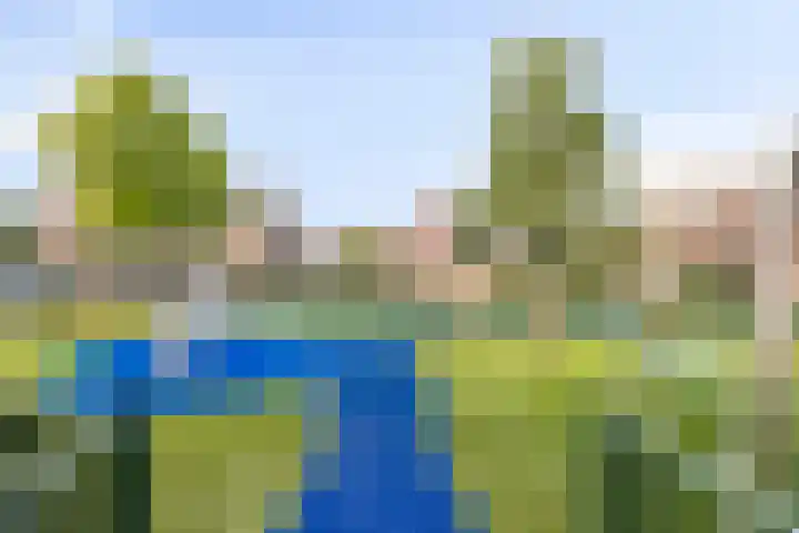 Dallelaan 27 Spijkenisse thumbnail 29