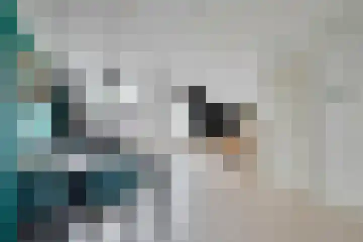 Dallelaan 27 Spijkenisse thumbnail 4