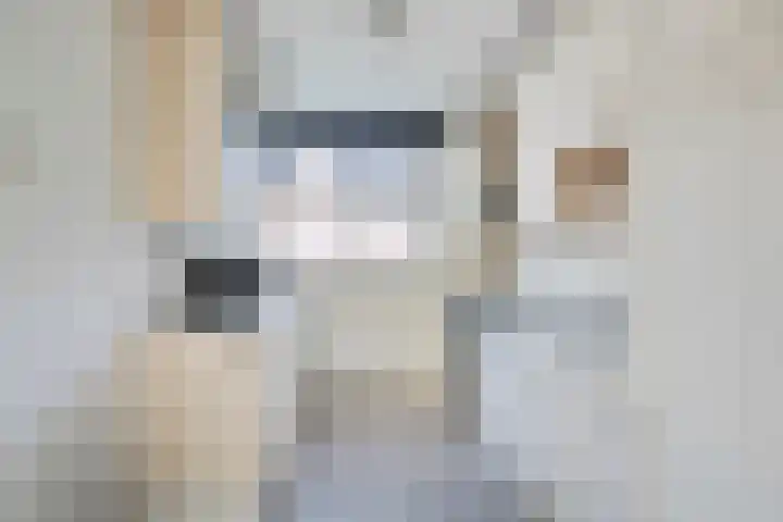 Dallelaan 27 Spijkenisse thumbnail 7