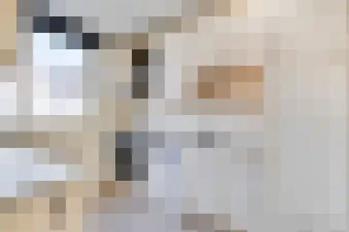 Dallelaan 27 Spijkenisse thumbnail 8