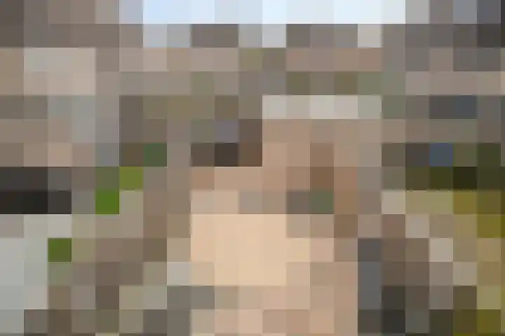 Dallelaan 59 Spijkenisse thumbnail 10