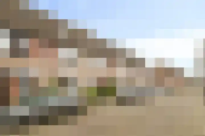 Dallelaan 59 Spijkenisse thumbnail 28