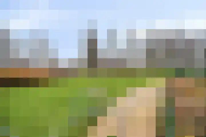 Dallelaan 59 Spijkenisse thumbnail 32