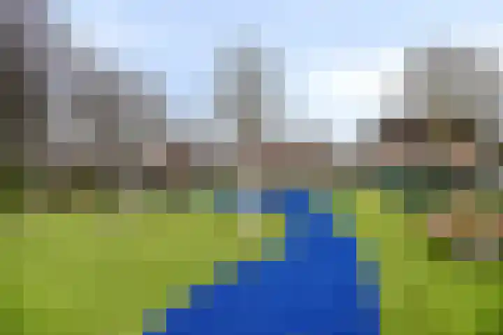 Dallelaan 59 Spijkenisse thumbnail 33