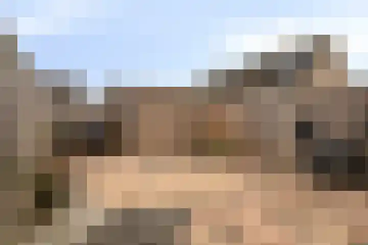Dallelaan 59 Spijkenisse thumbnail 9