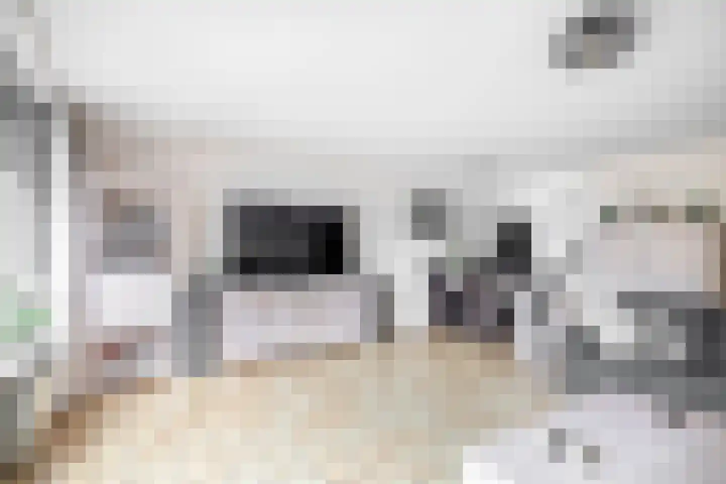 Dallelaan 71 Spijkenisse thumbnail 13