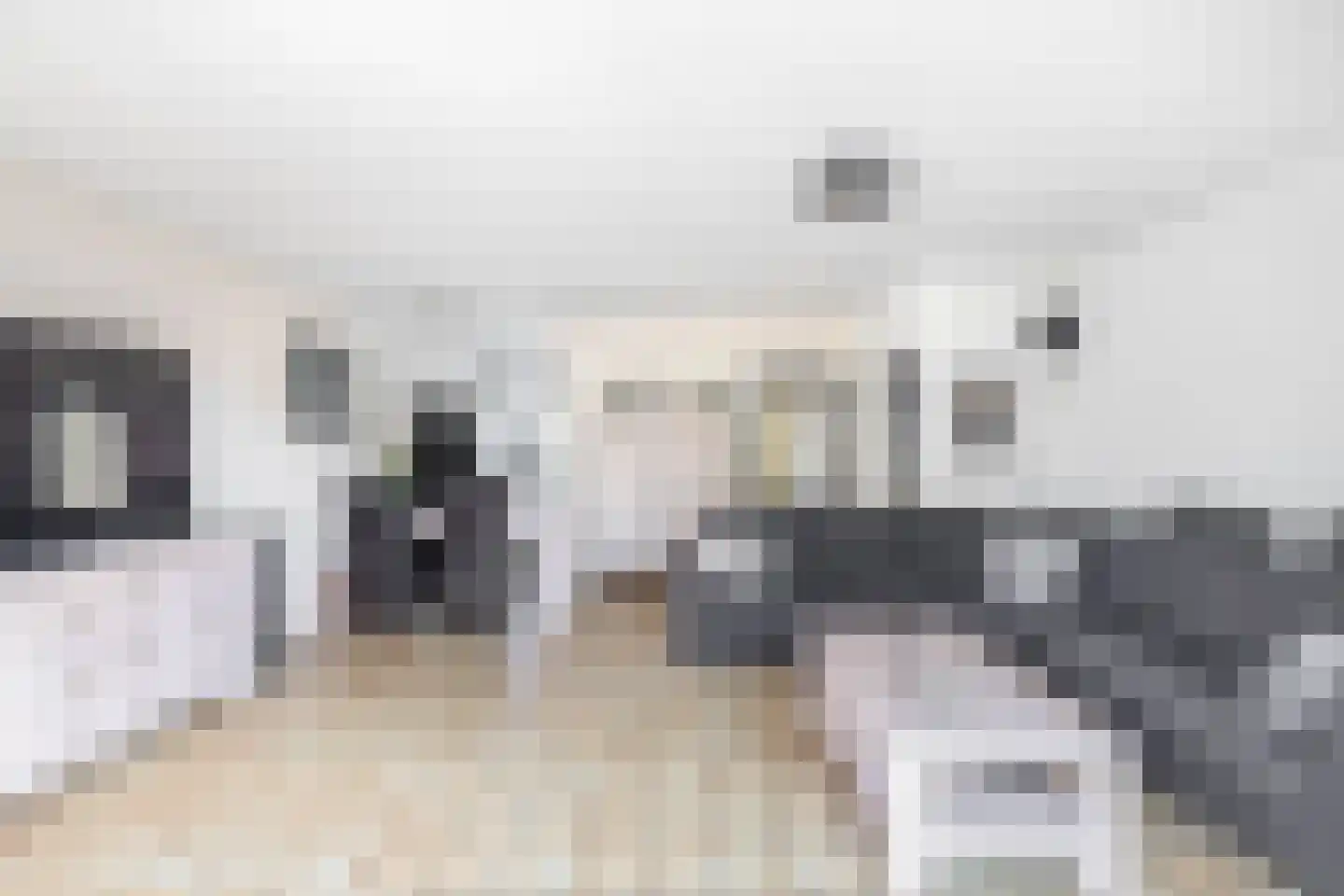 Dallelaan 71 Spijkenisse thumbnail 14