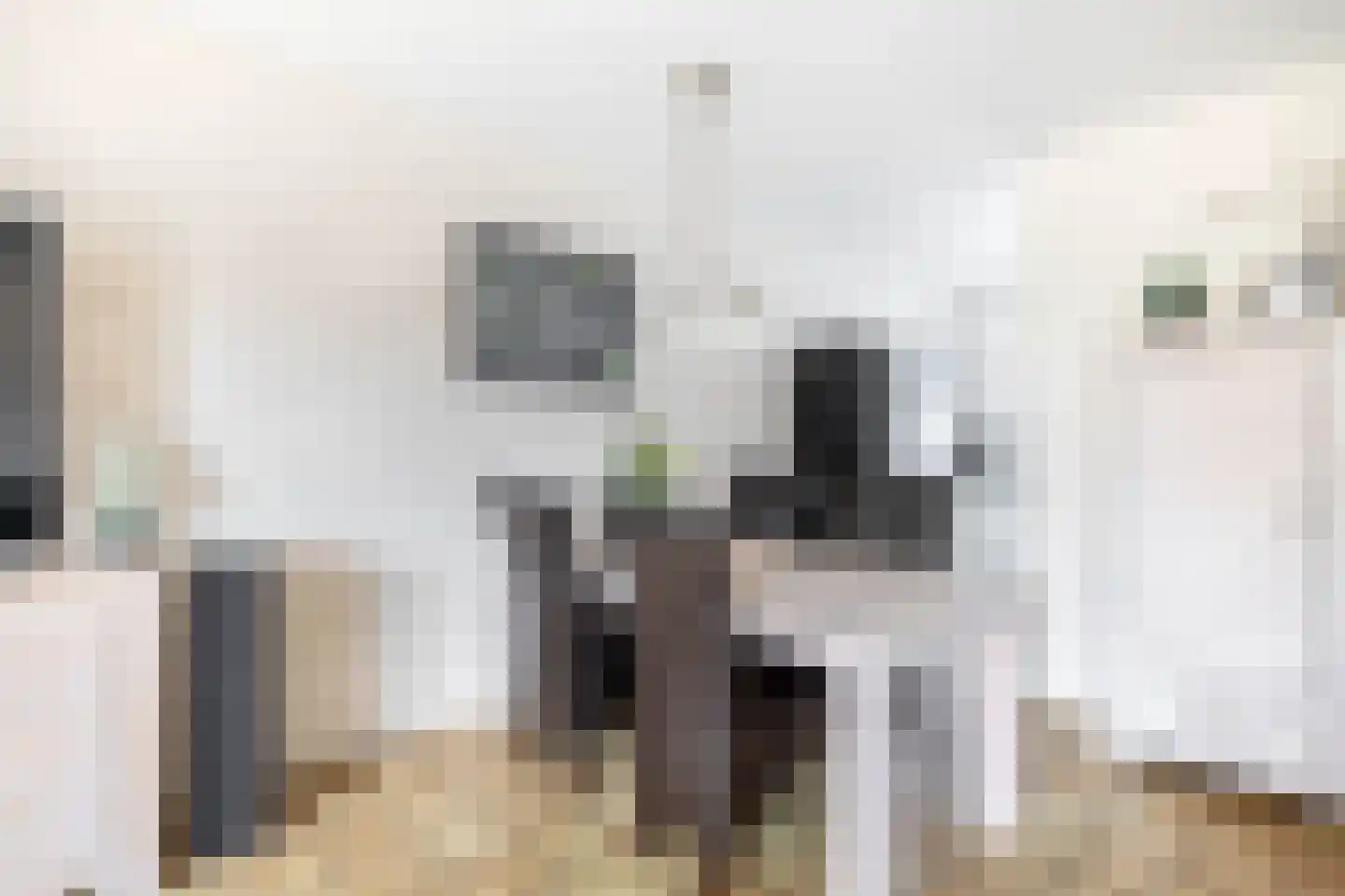Dallelaan 71 Spijkenisse thumbnail 17