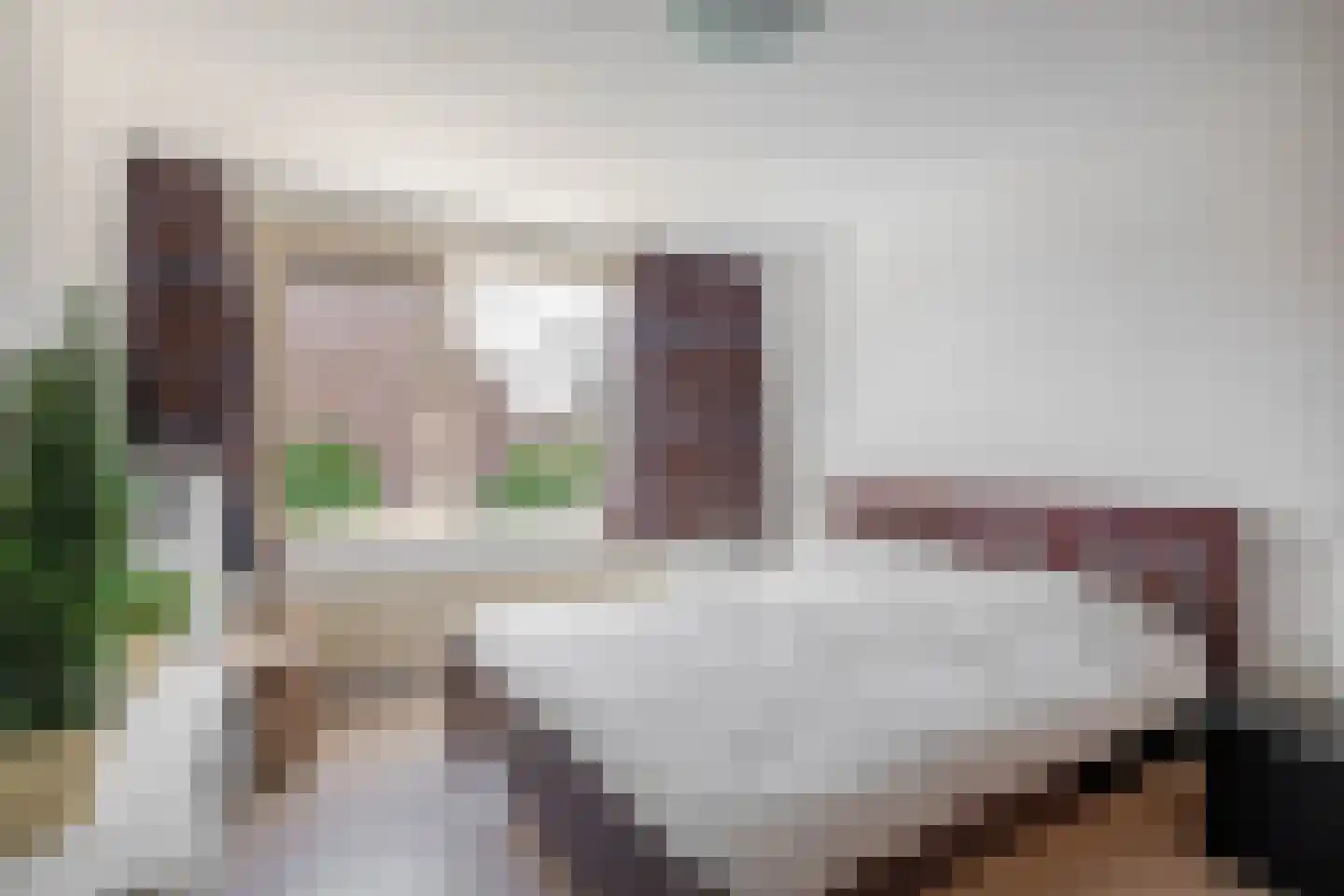 Dallelaan 71 Spijkenisse thumbnail 32