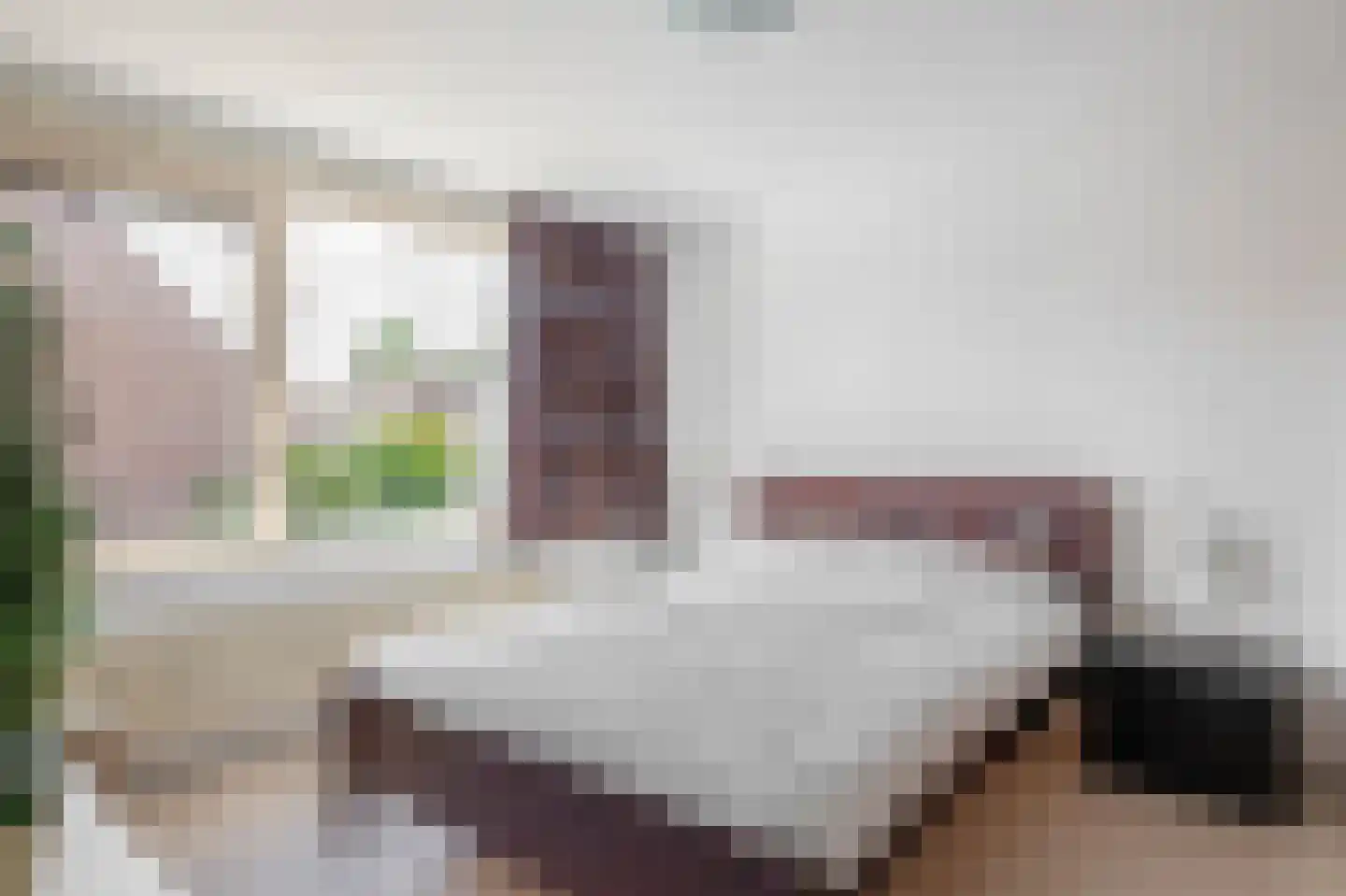 Dallelaan 71 Spijkenisse thumbnail 33