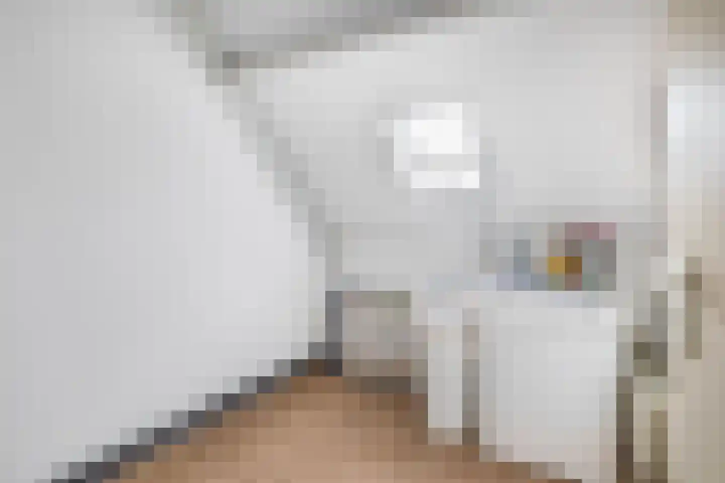 Dallelaan 71 Spijkenisse thumbnail 36