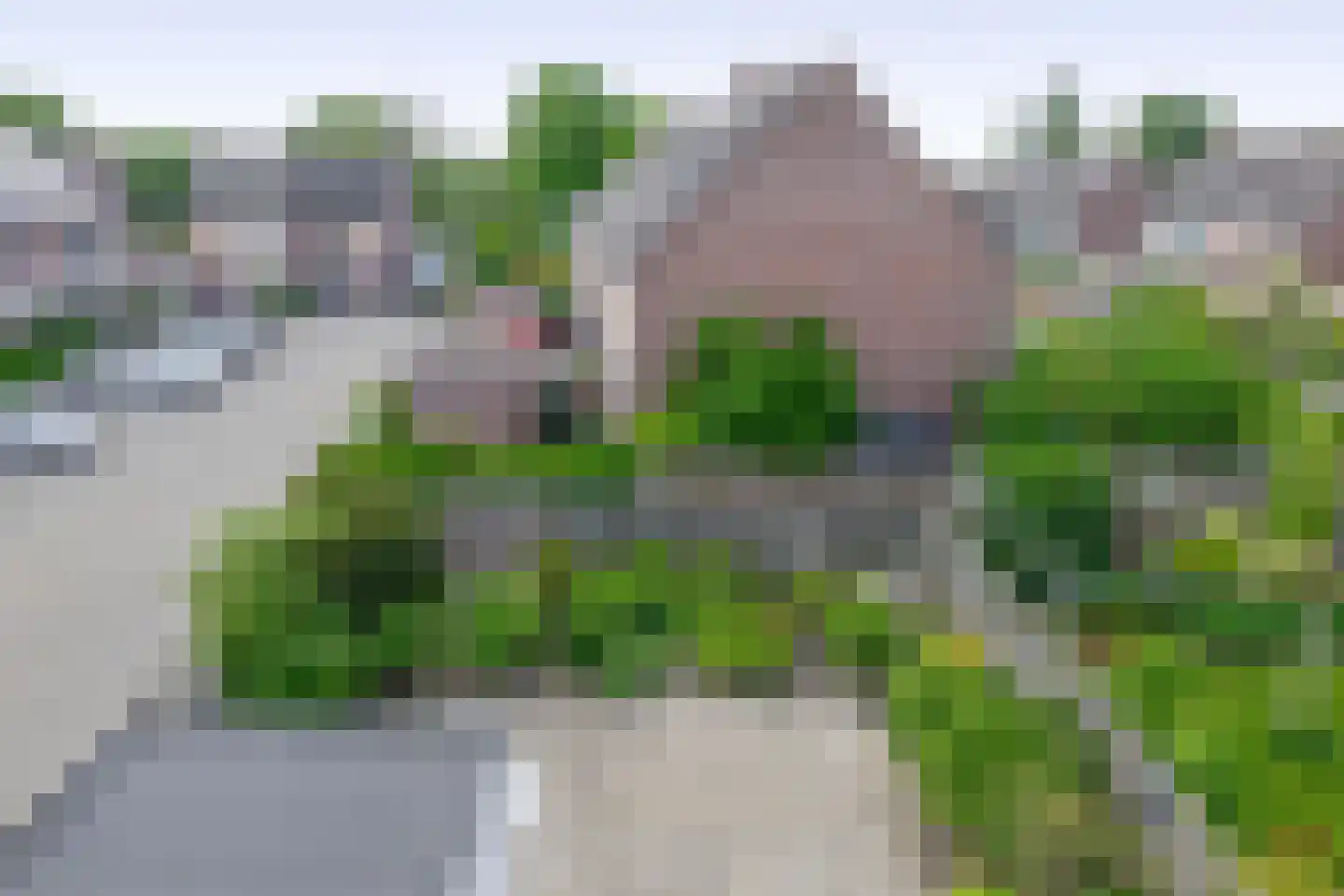 Dallelaan 71 Spijkenisse thumbnail 39