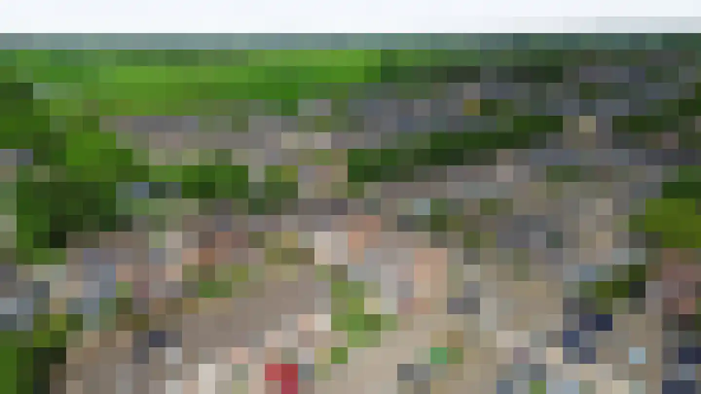 Dallelaan 71 Spijkenisse thumbnail 40