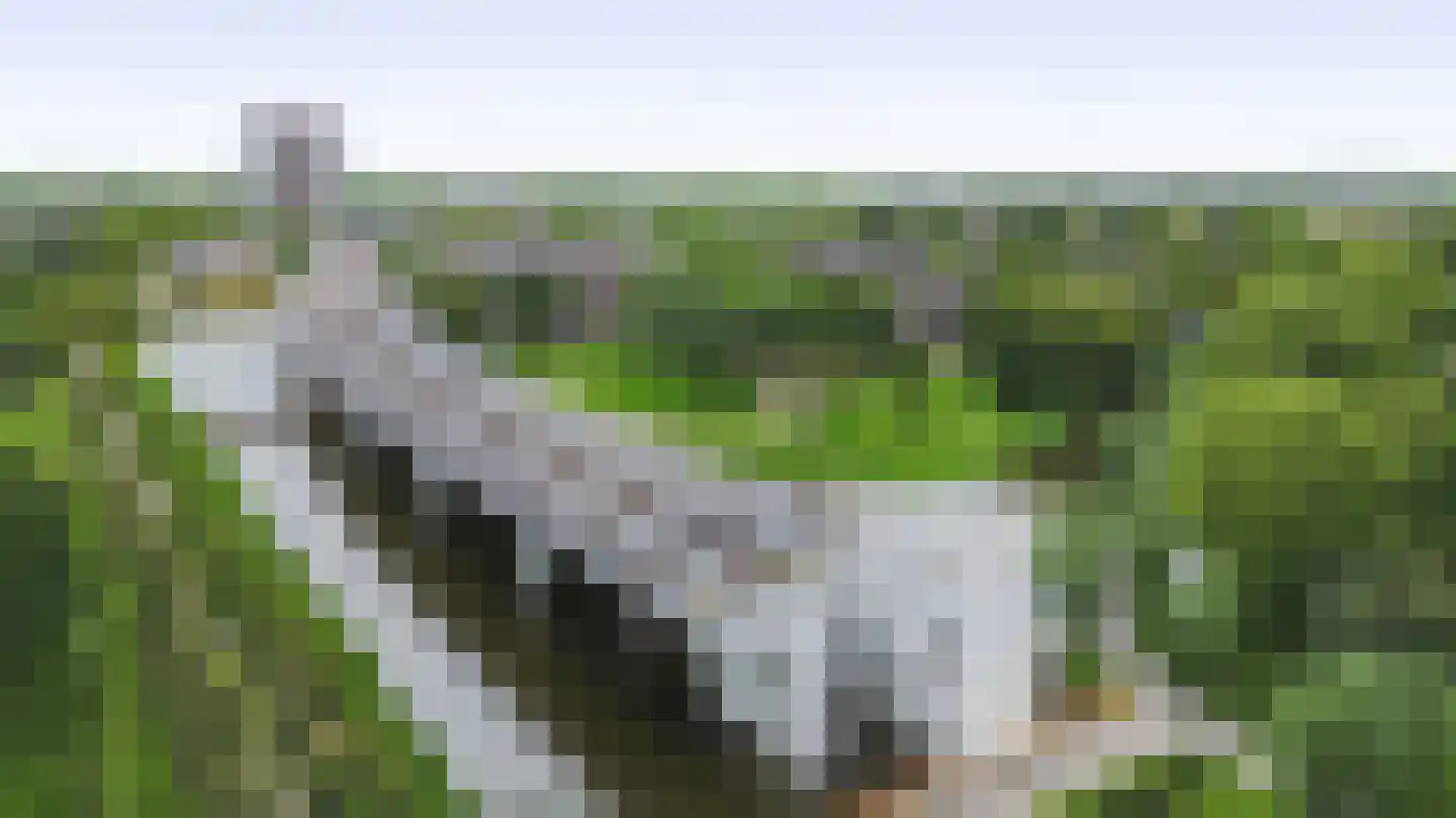 Dallelaan 71 Spijkenisse thumbnail 41