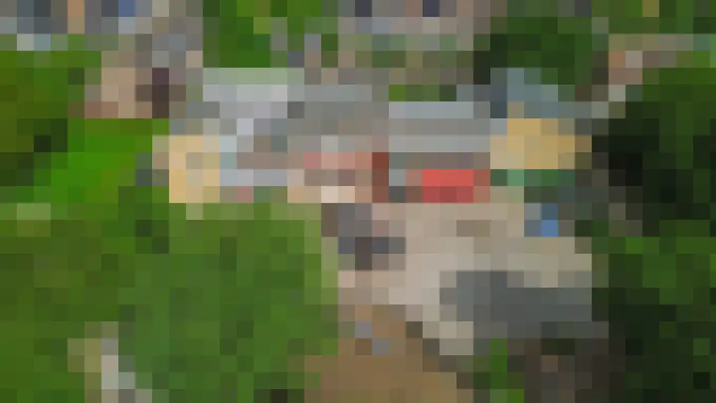 Dallelaan 71 Spijkenisse thumbnail 42