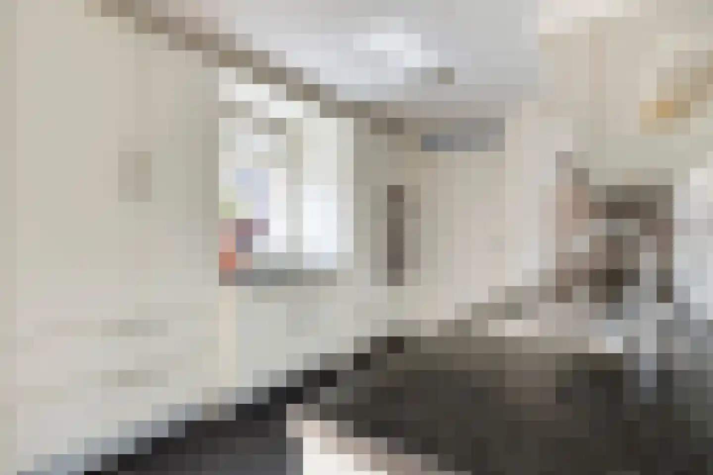Dallepad 1 Zuidbroek thumbnail 13