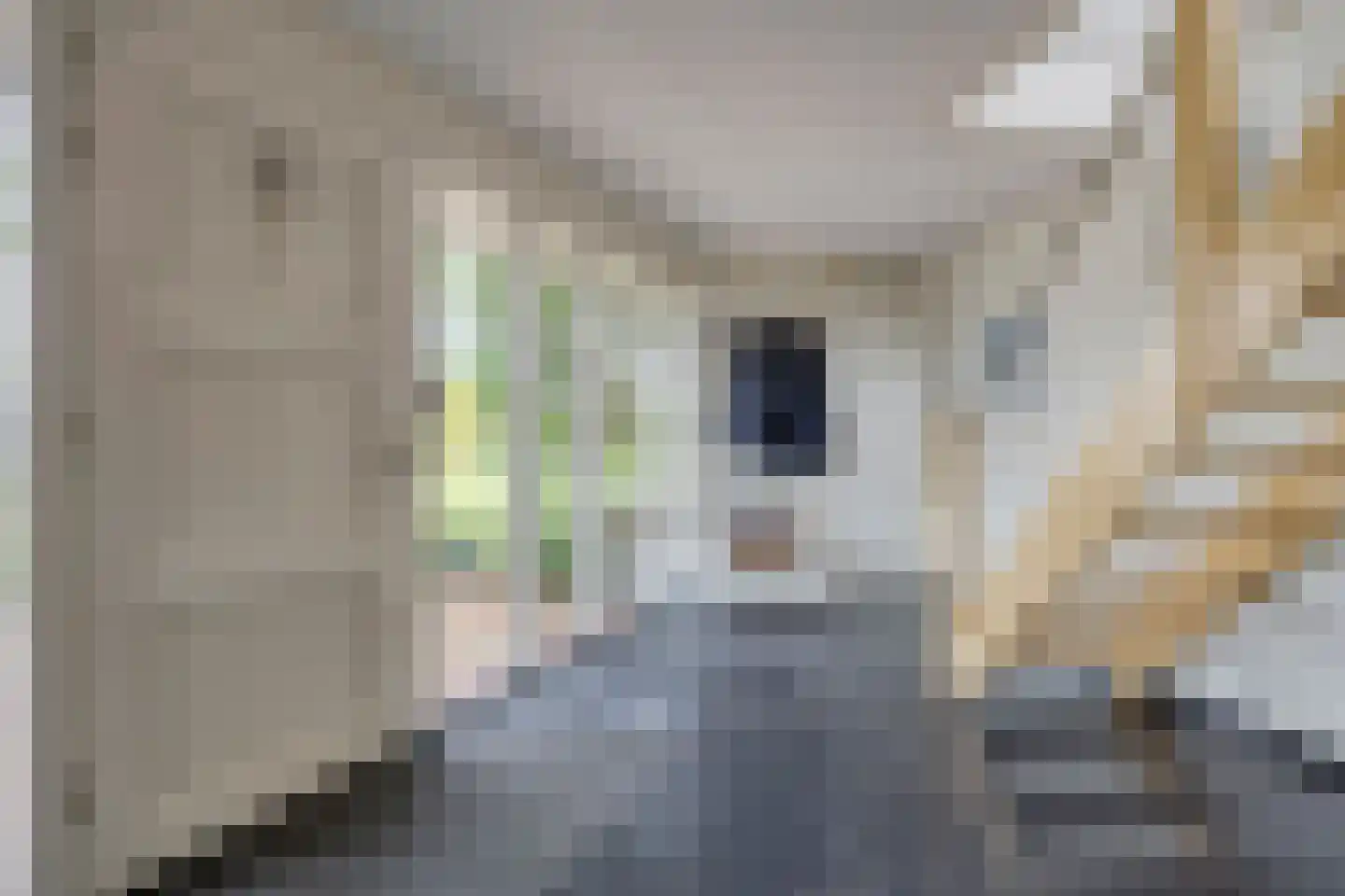 Dallepad 1 Zuidbroek thumbnail 21