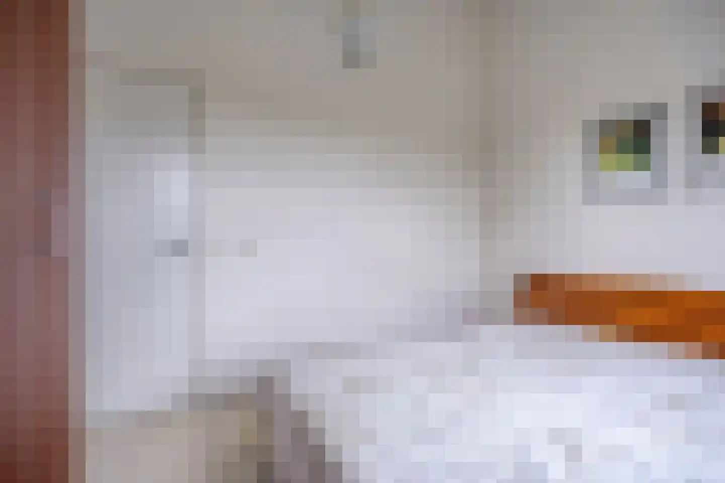 Dallepad 1 Zuidbroek thumbnail 24